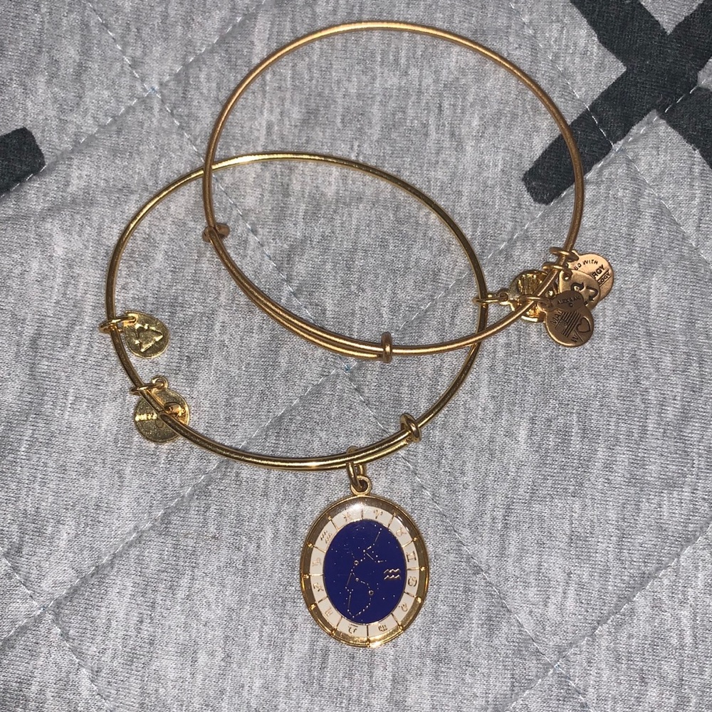Alex and Ani Aquarius bracelet duo